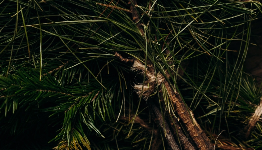 Байкальские каникулы