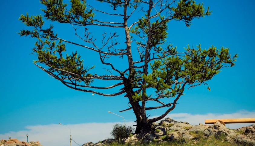 Байкальские каникулы