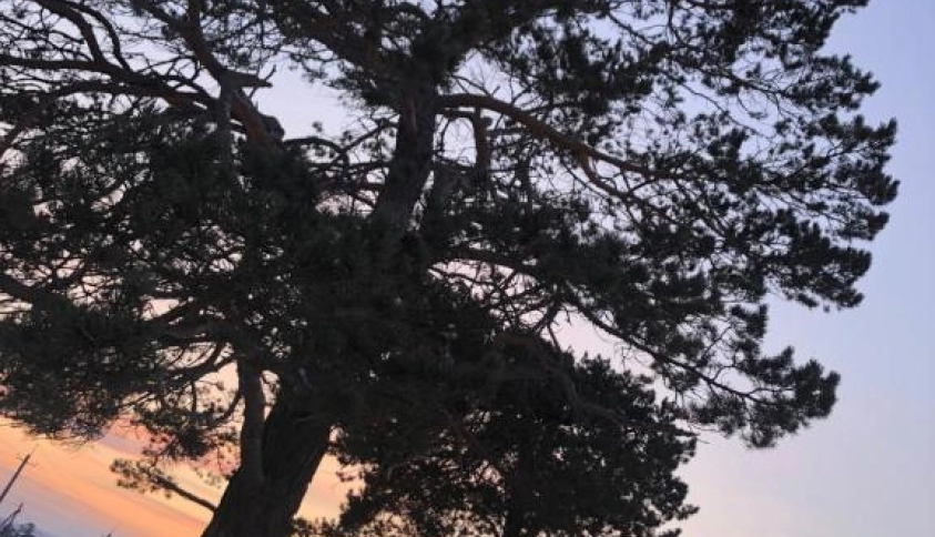 Байкальские каникулы