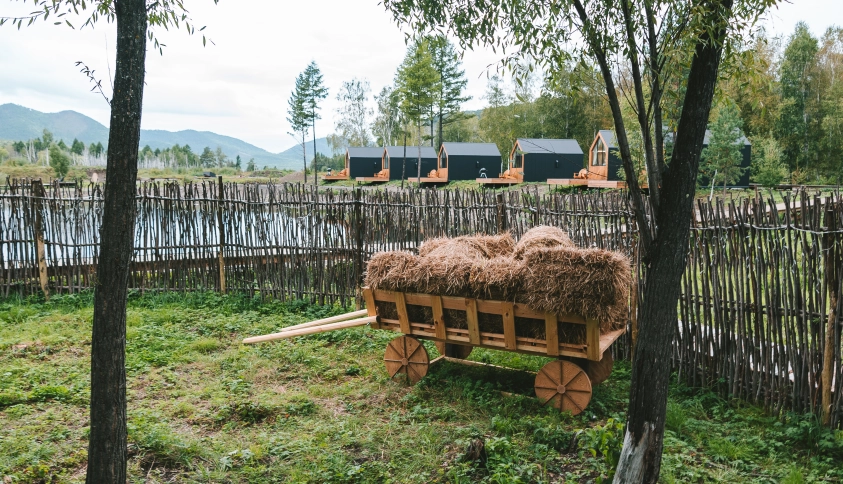 Байкальские каникулы