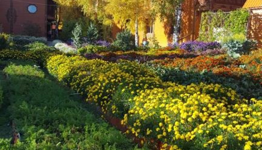 Байкальские каникулы