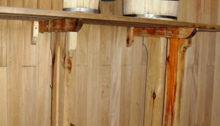 Байкальские каникулы