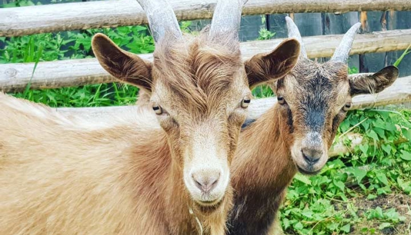 Байкальские каникулы