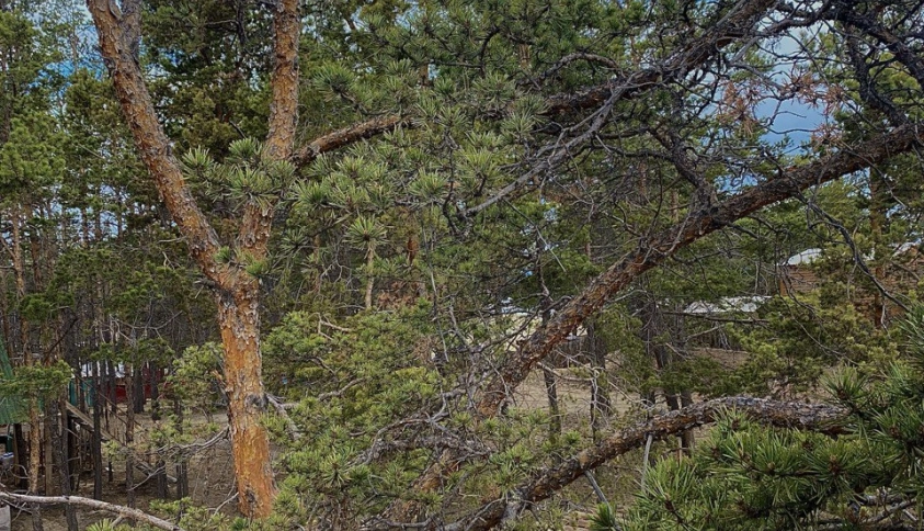 Байкальские каникулы