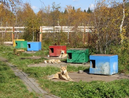 Эмоциональное шоу в усадьбе Тюрюминых, пос. Листвянка