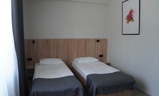 Стандартный номер с двумя односпальными кроватями