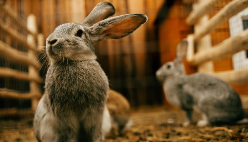 Байкальские каникулы