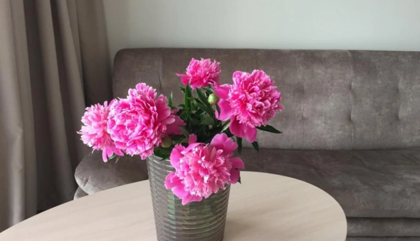 Байкальские каникулы