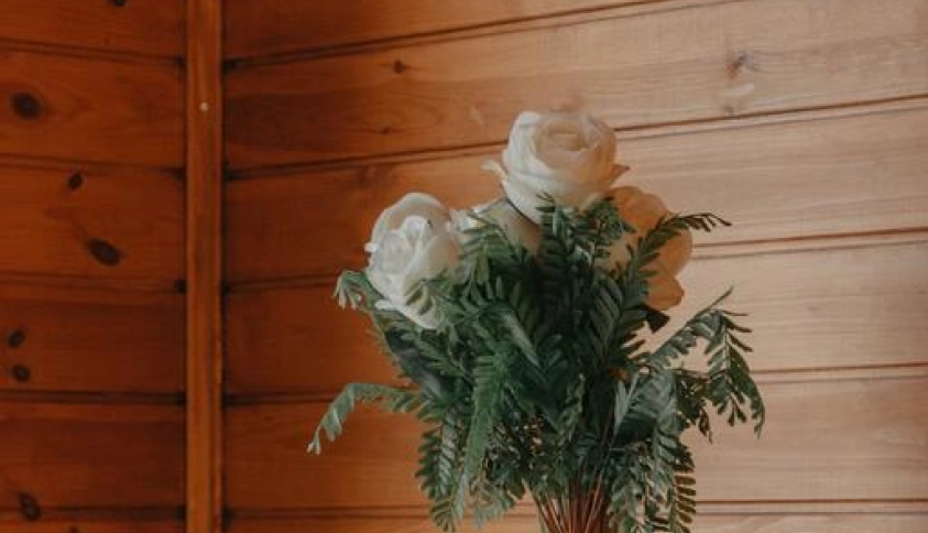 Байкальские каникулы