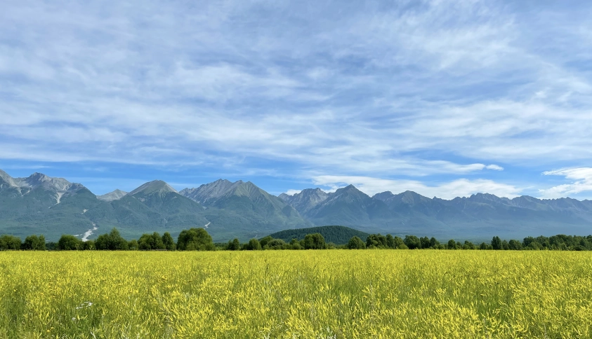 Байкальские каникулы