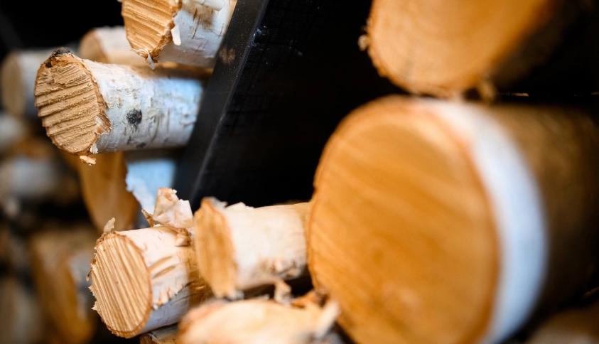 Байкальские каникулы