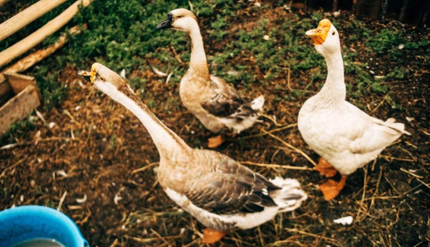 Байкальские каникулы