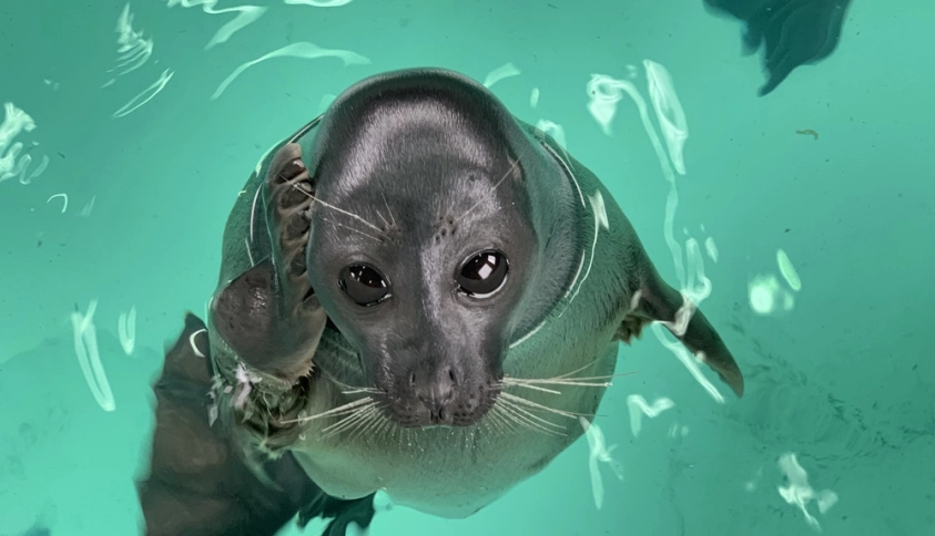 Байкальские каникулы